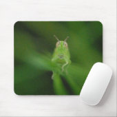Grasshopper Mousepad Muismat (Met muis)