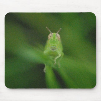 Grasshopper Mousepad Muismat