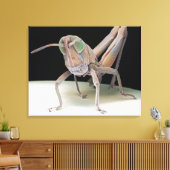 Grasshopper nimf canvas afdruk (Insitu (Woonkamer))