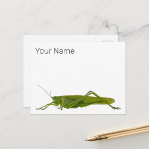 Grasshopper of Hayhorse Retro Insect Dierengift Feestdagenkaart