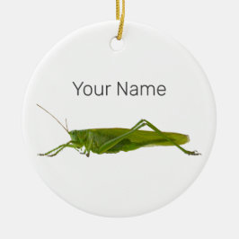 Grasshopper of Hayhorse Retro Insect Dierengift Keramisch Ornament