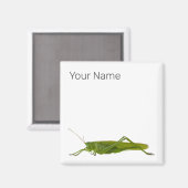 Grasshopper of Hayhorse Retro Insect Dierengift Magneet (Voorkant / Achterkant)