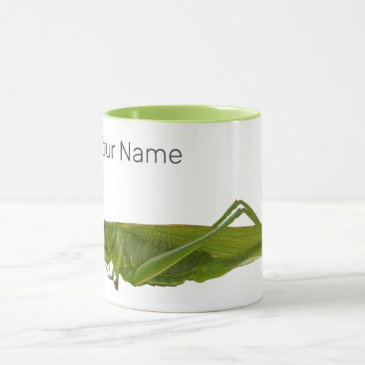 Grasshopper of Hayhorse Retro Insect Dierengift Mok (Midden)