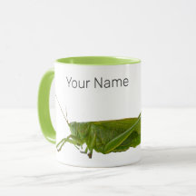 Grasshopper of Hayhorse Retro Insect Dierengift