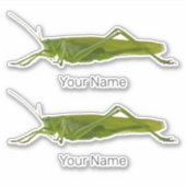 Grasshopper of Hayhorse Retro Insect Dierengift Sticker (Voorkant)