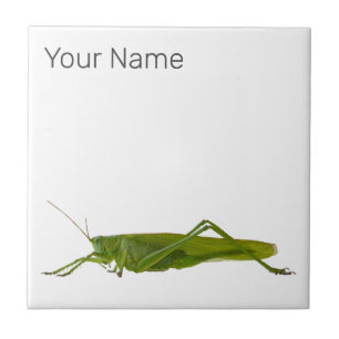 Grasshopper of Hayhorse Retro Insect Dierengift Tegeltje