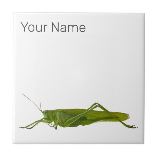 Grasshopper of Hayhorse Retro Insect Dierengift Tegeltje (Voorkant)