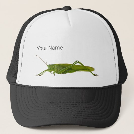 Grasshopper of Hayhorse Retro Insect Dierengift Trucker Pet (Voorkant)