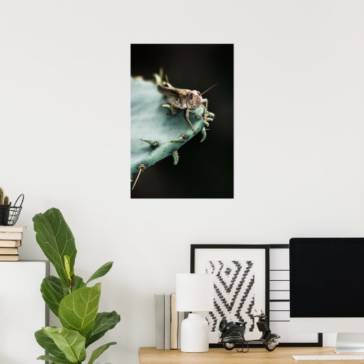 Grasshopper op Cactus Poster (Thuiskantoor)