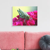 Grasshopper op Cockscomb Canvas Afdruk (Insitu (Woonkamer))