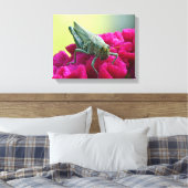 Grasshopper op Cockscomb Canvas Afdruk (Insitu (Slaapkamer))