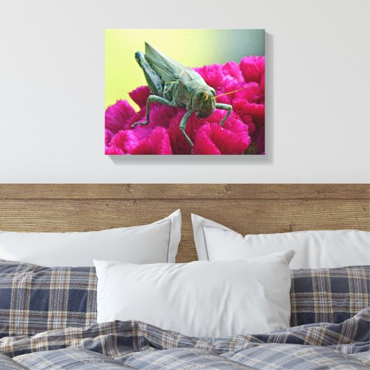 Grasshopper op Cockscomb Canvas Afdruk (Insitu (Slaapkamer))