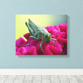 Grasshopper op Cockscomb Canvas Afdruk (Insitu (Houten vloer))