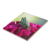 Grasshopper op Cockscomb Tegeltje (Zijkant)