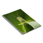 Grasshopper op Leaf, Grasshopper Face Close-up Notitieboek (Rechterzijde)