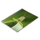 Grasshopper op Leaf, Grasshopper Face Close-up Notitieboek (Linkerzijde)