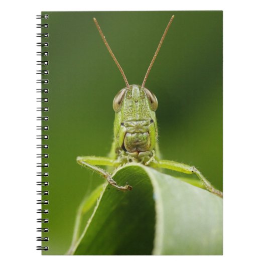 Grasshopper op Leaf, Grasshopper Face Close-up Notitieboek (Voorkant)