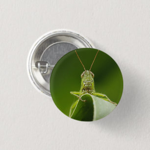 Grasshopper op Leaf, Grasshopper Face Close-up Ronde Button 3,2 Cm
