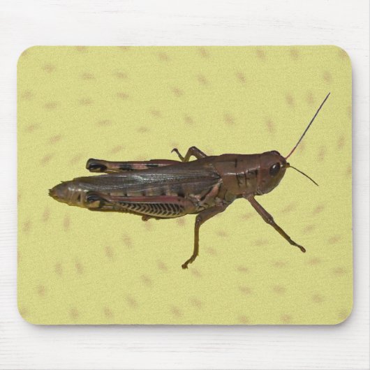 Grasshopper Pad Muismat (Voorkant)