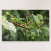 Grasshopper Pair 2 Legpuzzel (Horizontaal)