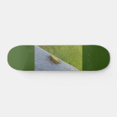 Grasshopper Persoonlijk Skateboard (Horizontaal)