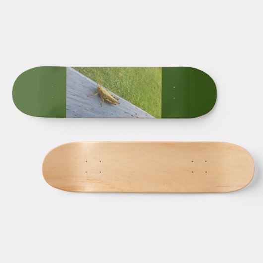 Grasshopper Persoonlijk Skateboard (Horizontaal)