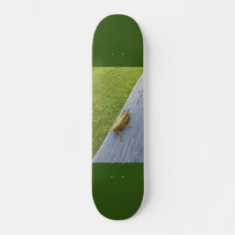 Grasshopper Persoonlijk Skateboard