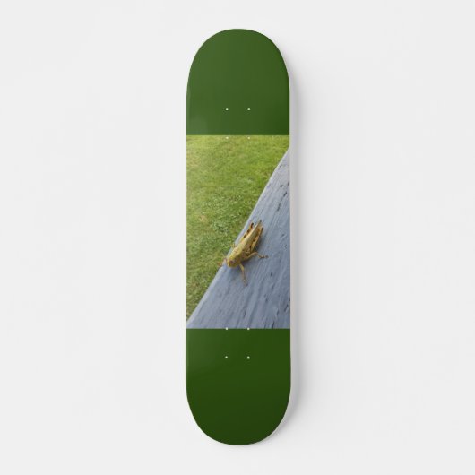 Grasshopper Persoonlijk Skateboard (Voorkant)