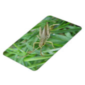 Grasshopper Premium Magnet Magneet (Linkerzijde)