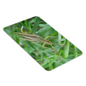 Grasshopper Premium Magnet Magneet (Rechterzijde)
