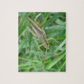 Grasshopper Puzzle Legpuzzel (Verticaal)
