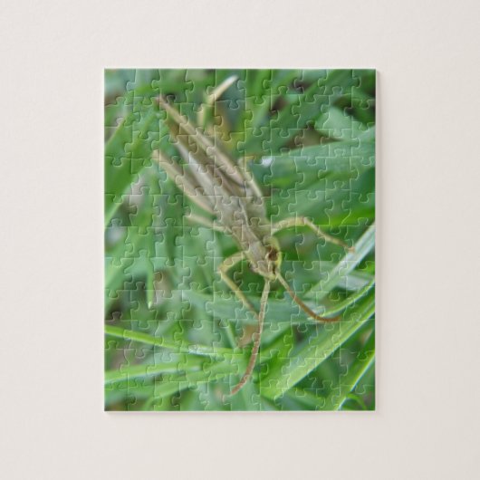 Grasshopper Puzzle Legpuzzel (Verticaal)