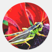 Grasshopper Ronde Sticker (Voorkant)