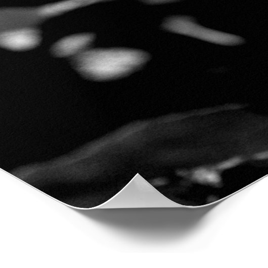 Grasshopper Shadow Poster (Hoek)