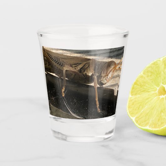 Grasshopper Shot Glas (Voorkant)