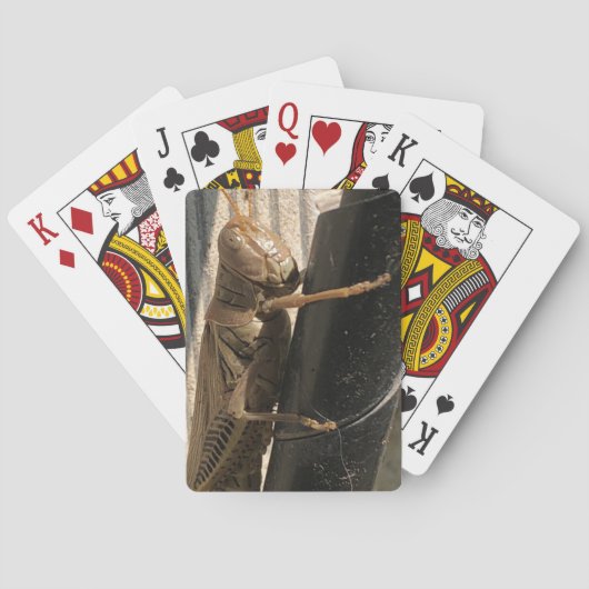 Grasshopper-speelkaarten Pokerkaarten (Achterkant)