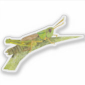 Grasshopper Sticker (Voorkant)