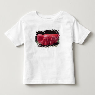 Grasshopper uit Chapultepec, Mexico, c.1500 (karn) Kinder Shirts
