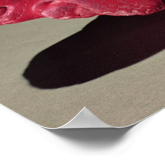 Grasshopper uit Chapultepec, Mexico, c.1500 (karn) Poster (Hoek)