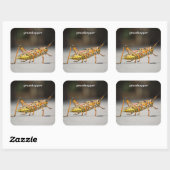 grasshopper vierkante sticker (Vel)