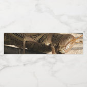 Grasshopper Waterfles Etiket (Enkel label)