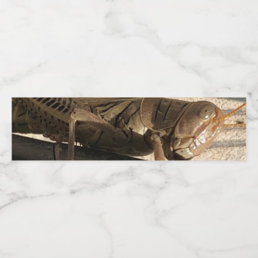 Grasshopper Waterfles Etiket (Enkel label)