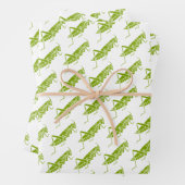 Grasshoppers Inpakpapier Vel (In situ)