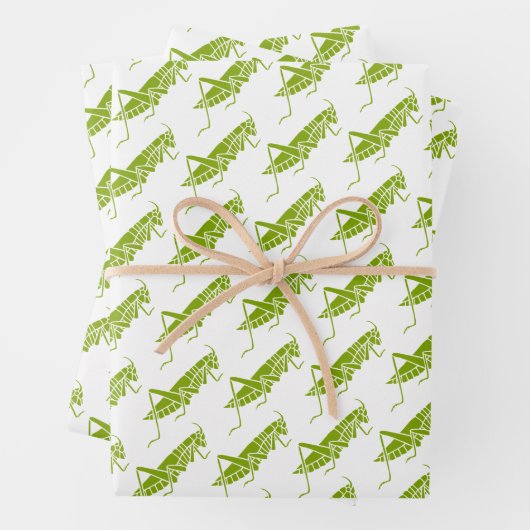 Grasshoppers Inpakpapier Vel (In situ)