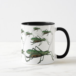 grasshoppers, Katydiden, Struiken Krickets Mok