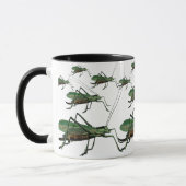 grasshoppers, Katydiden, Struiken Krickets Mok (Links)