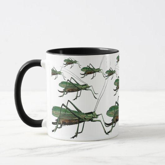 grasshoppers, Katydiden, Struiken Krickets Mok (Links)