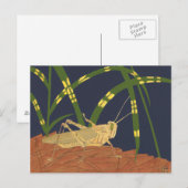 Grasshopping in groene gras op blauwe achtergrond briefkaart (Voorkant / Achterkant)
