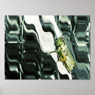 Grasshopping op Abstract Poster