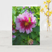 Grasshopping op Dahlia Flower Kaart (Gele Bloem)